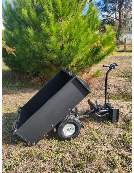 DUMPER TEXAS COMBI 800TG (CARRETILLA)