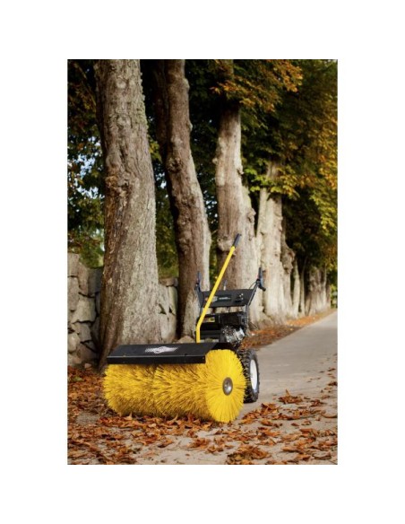 ACCESORIO BARREDOR TEXAS COMBI 800TG