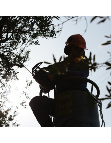 Motosierra CS-281WES