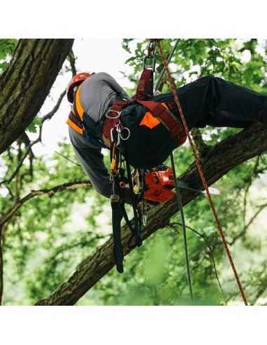 Motosierra CS-362TES