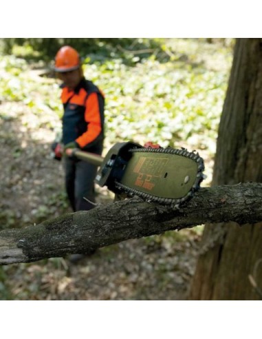 Podadora de Altura PPT-2620HES