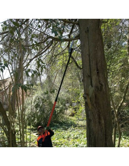 Podadora de Altura PPT-2620HES