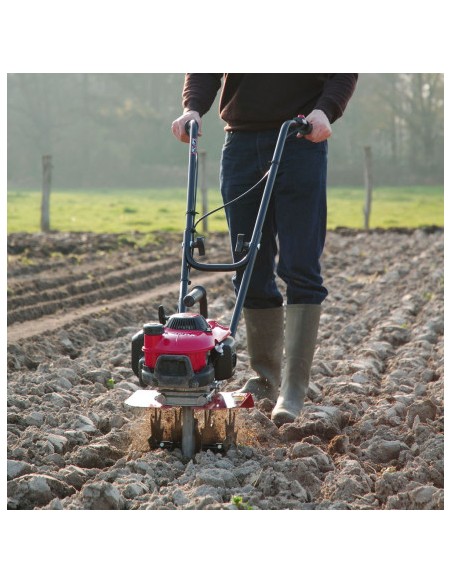 Motoazada pequeña Gasolina HONDA FG201 2