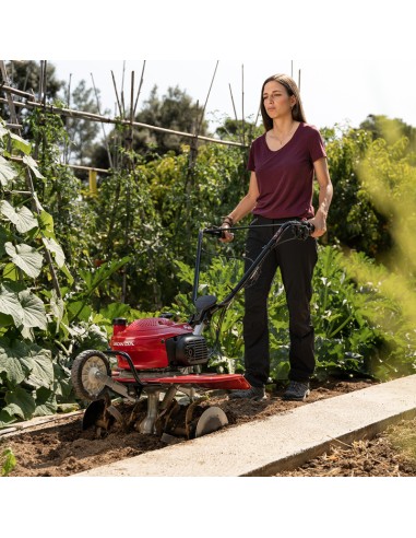 Motoazada pequeña gasolina HONDA F220