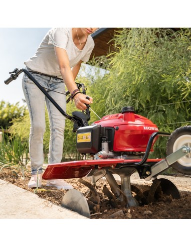 Motoazada pequeña gasolina HONDA F220