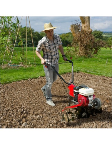 Motoazada de Gasolina HONDA FS 320