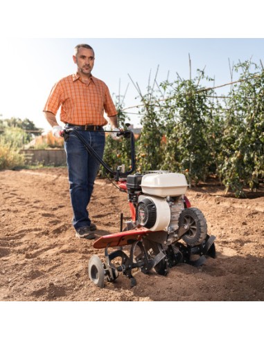 MOTOAZADA DE GASOLINA HONDA FG330
