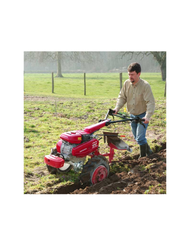 MOTOAZADA HONDA F 560