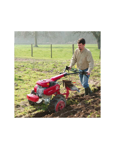 MOTOAZADA HONDA F 560