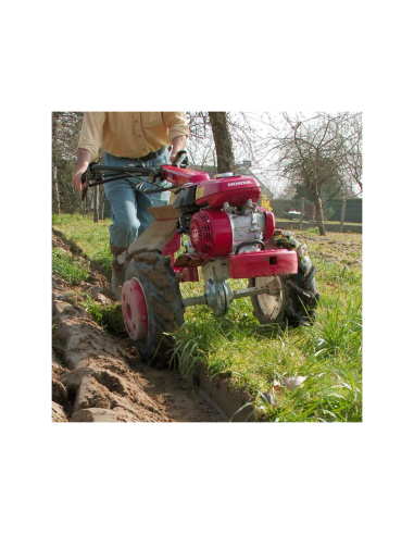 MOTOAZADA HONDA F 560