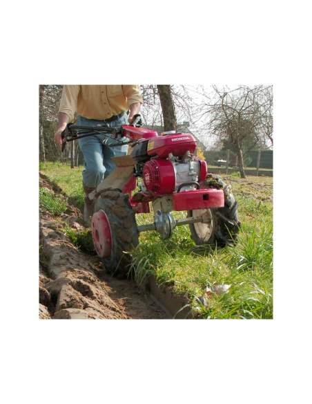 MOTOAZADA HONDA F 560