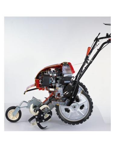 Motoazada Honda FF300