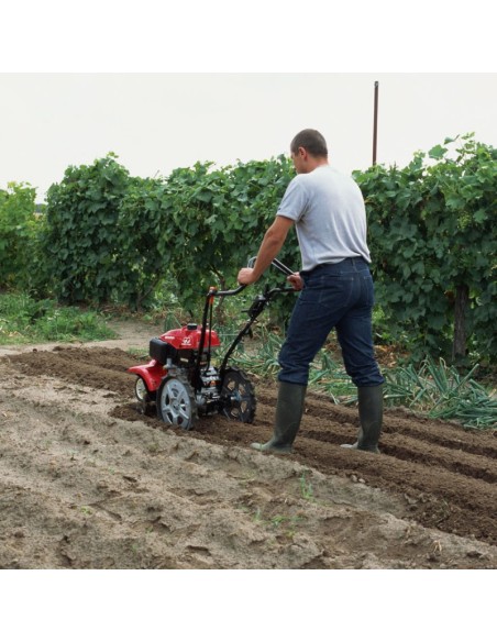 Motoazada Honda FF300 2
