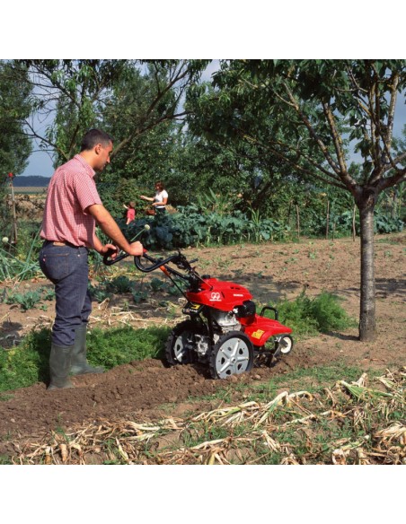 MOTOAZADA HONDA FF 500