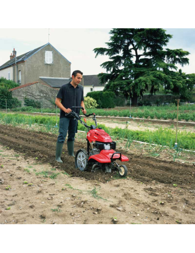 MOTOAZADA HONDA FF 500