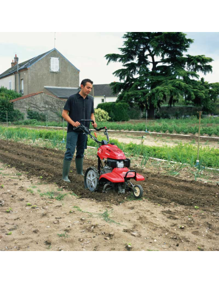 MOTOAZADA HONDA FF 500
