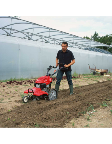 MOTOAZADA HONDA FF 500