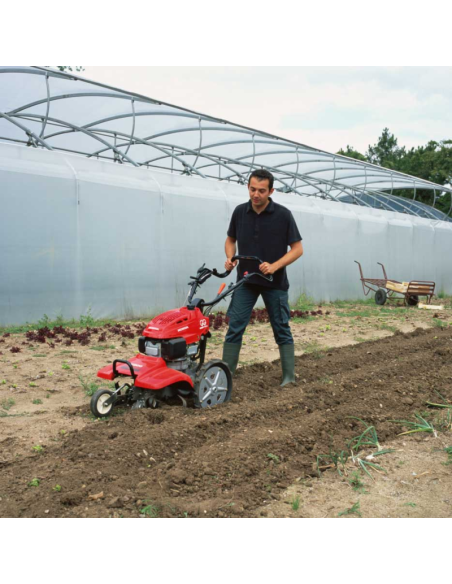 MOTOAZADA HONDA FF 500