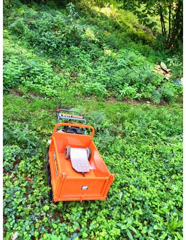 CARRETILLA DE ORUGAS GASOLINA 320KG