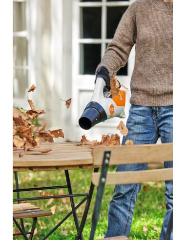 SOPLADOR DE BATERÍA STIHL BGA 30 SET BATERÍA +...