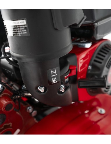 MOTOAZADA GASOLINA ROTECO EUROPA 900+