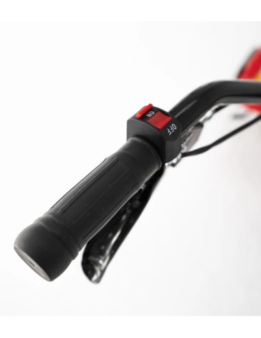 MOTOAZADA GASOLINA ROTECO EUROPA 900+