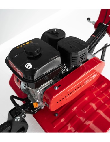 MOTOAZADA GASOLINA ROTECO EUROPA 900+